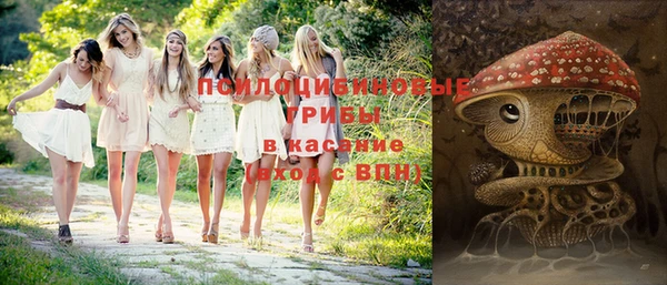 марки nbome Ельня