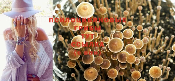 марки nbome Ельня