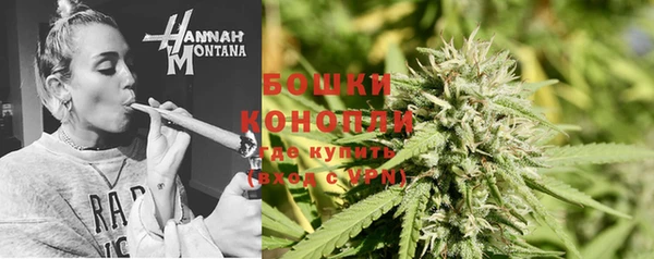 Альфа ПВП Володарск
