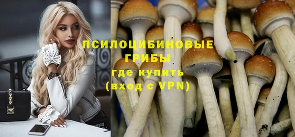 первитин Киреевск