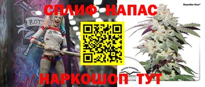 крисы Лесосибирск