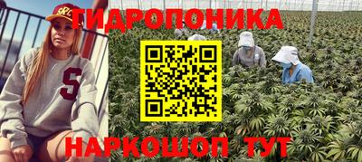 спиды Абинск