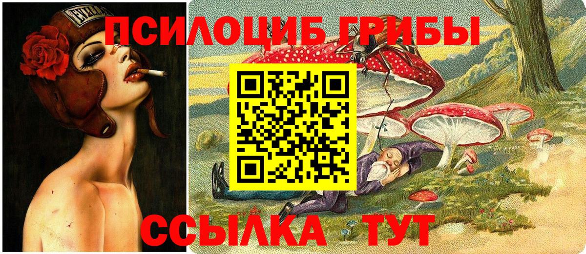 Галлюциногенные грибы прущие грибы Пыть-Ях